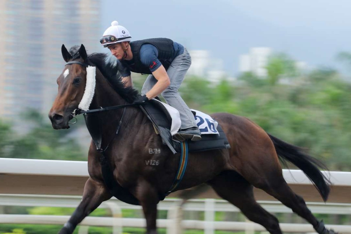 Green Card looks a solid banker in the final leg of Sunday’s Triple Trio. Photos: Kenneth Chan