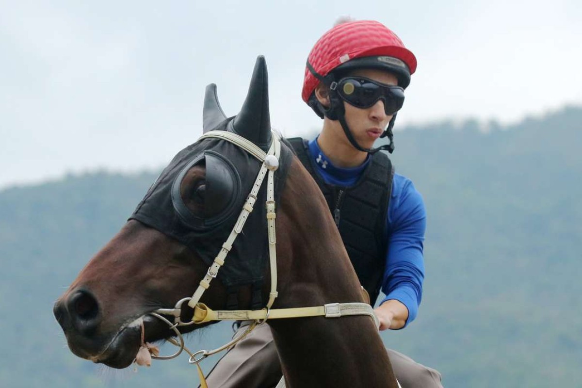 Pakistan Star looks around at trackwork with jockey Matthew Chadwick in the saddle. Photos: Kenneth Chan
