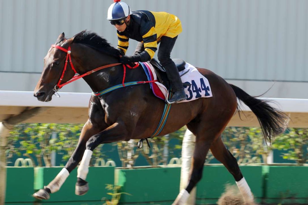 D B Pin strides out in a recent barrier trial. Photos: Kenneth Chan