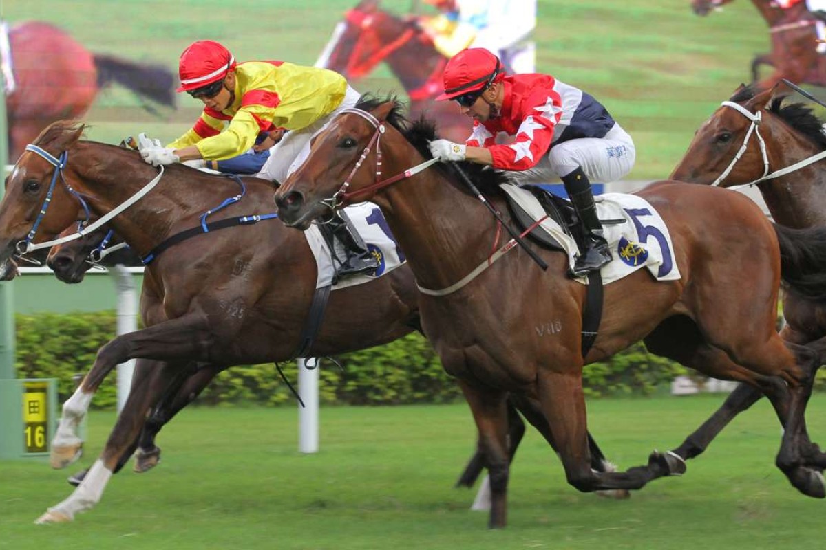 Twin Delight stuns his rivals to win last start. Photos: Kenneth Chan