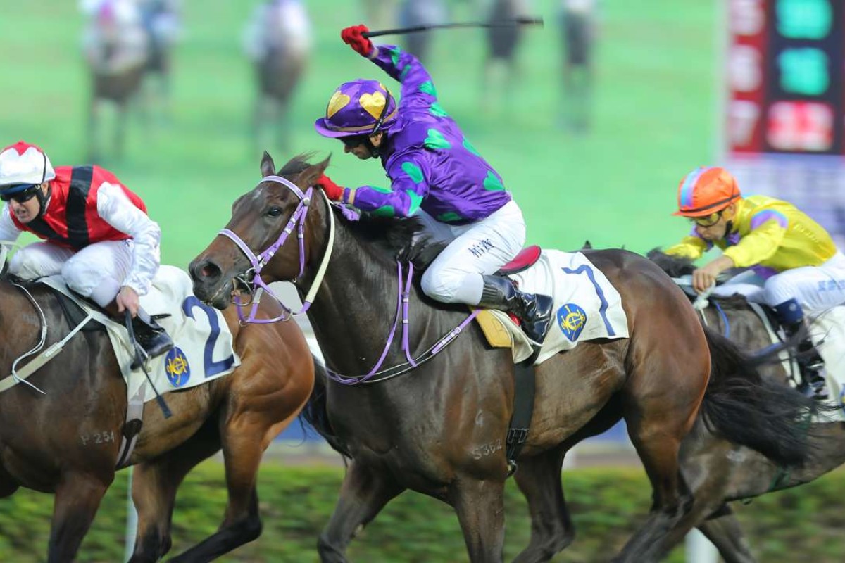 Brett Prebble urges High And Mighty to victory. Photos: Kenneth Chan