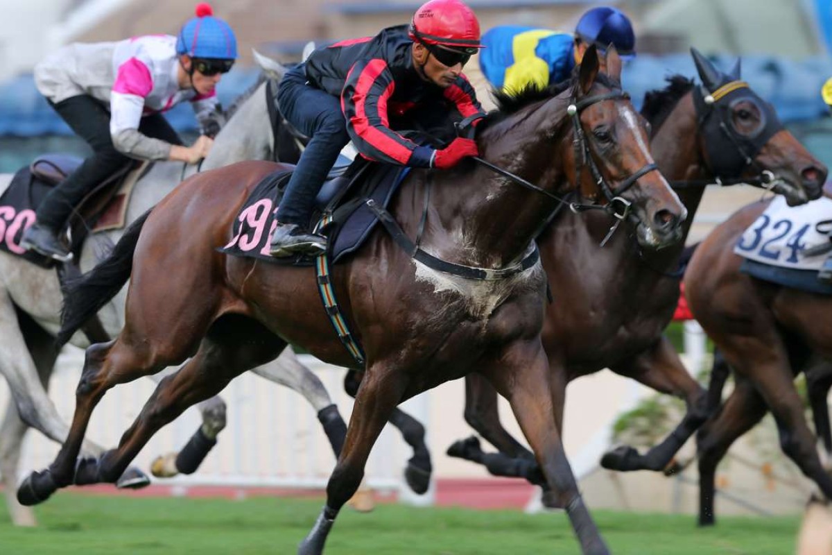 Karis Teetan gives Giant Turtle a hit-out in a recent barrier trial. Photos: Kenneth Chan