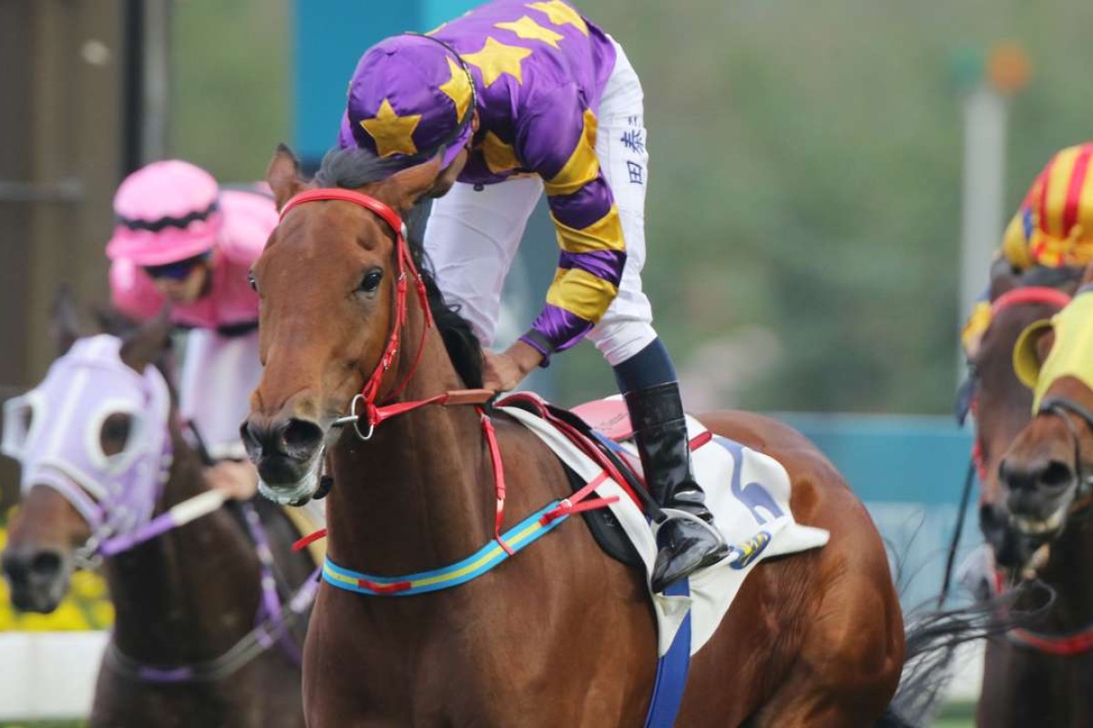 Eastern Express wins at Sha Tin in January. Photos: Kenneth Chan
