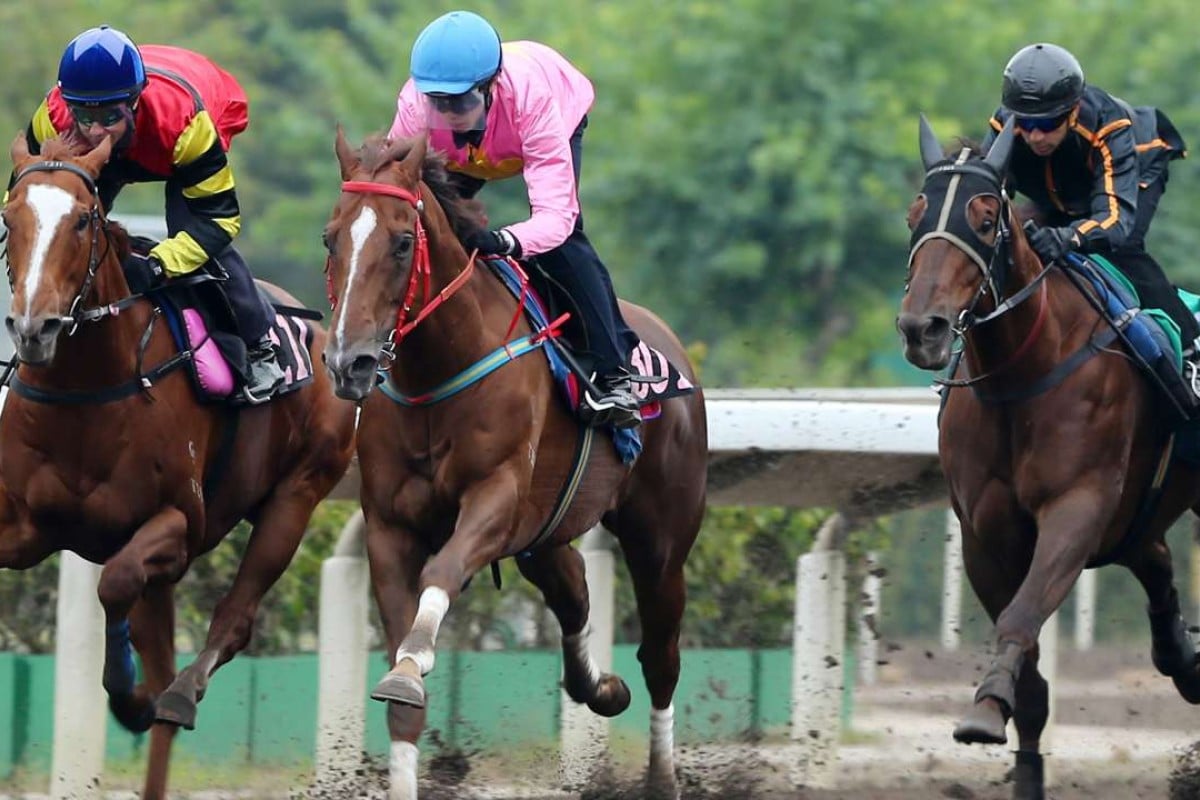 Lucky Bubbles (left), Sun Jewellery (middle) and Able Friend (right) stride out in Friday’s barrier trial. Photos: Kenneth Chan