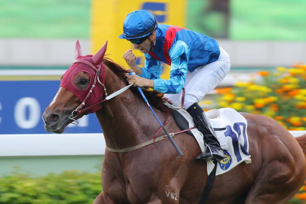 Race 8, Rapper Dragon, ridden by Joao Moreira, won the Lion Rock Trophy(HK Group 3, 1600m) at Sha Tin. 29MAY16