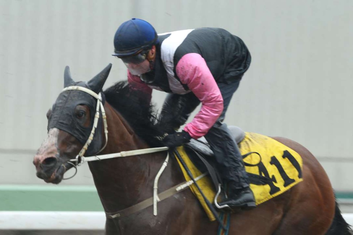 Zac Purton partners Beauty Only in a recent barrier trial. Photos: Kenneth Chan