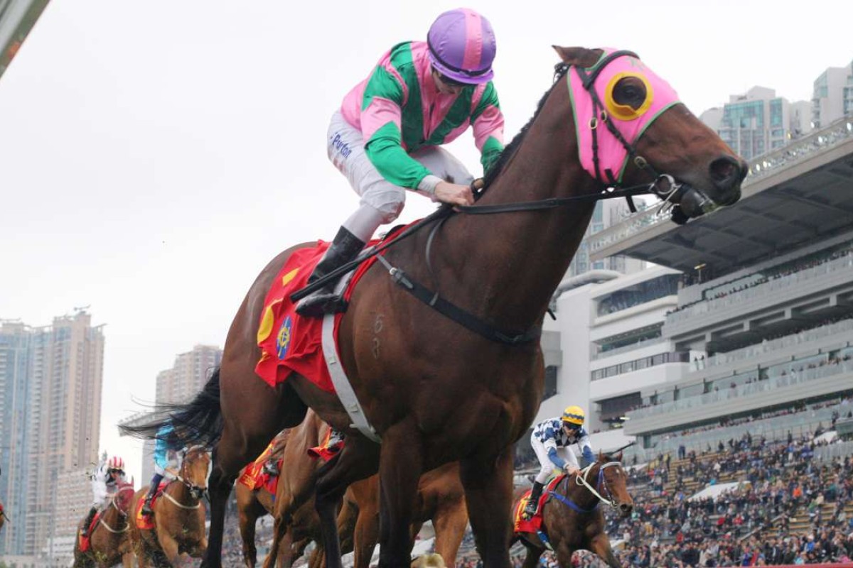 Zac Purton guides Aerovelocity to victory in the Group One Centenary Sprint Cup in January. Photos: Kenneth Chan