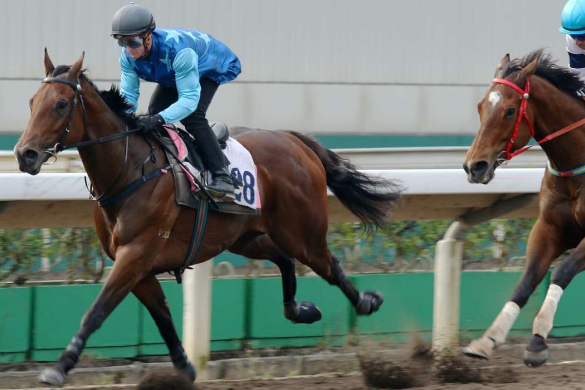 Zac Purton guides Jing Jing Win to victory in Friday’s trial at Sha Tin. Photos: Kenneth Chan