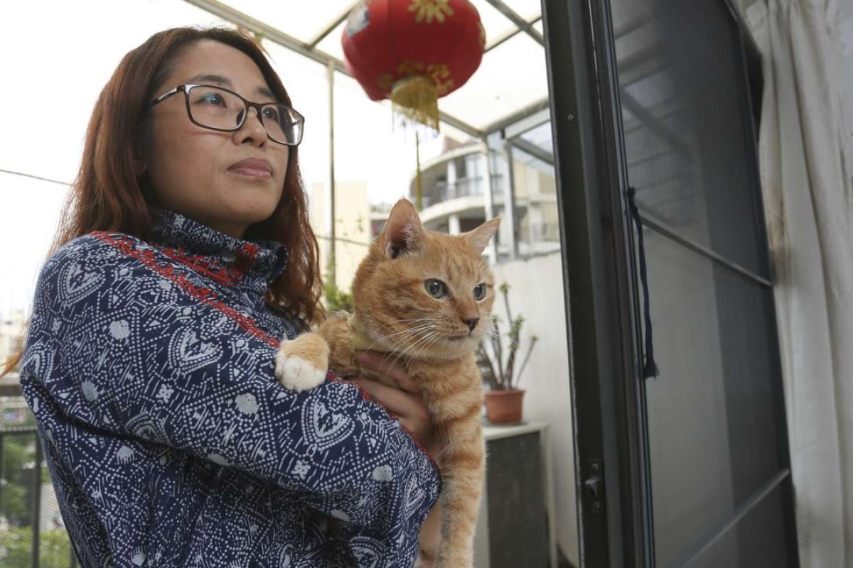 The Shenzhen Activists Trying To Stop Yulin Dog Slaughter