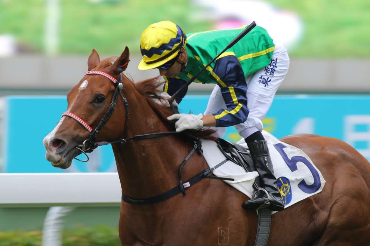 Joao Moreira guides Blizzard to victory at Sha Tin. Photos: Kenneth Chan