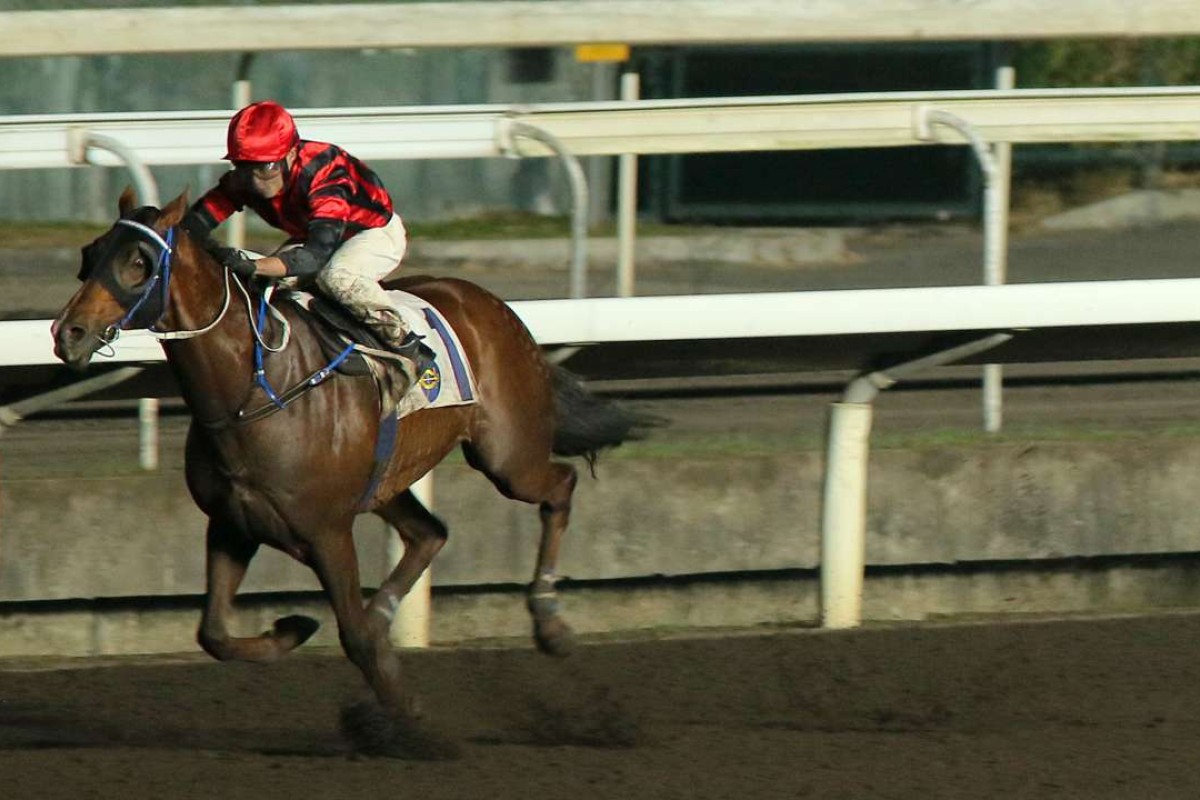 Keith Yeung guides Vanilla to one of the most dominant wins of the season in the Class Four Morse Park Handicap on Wednesday night. Photos: Kenneth Chan