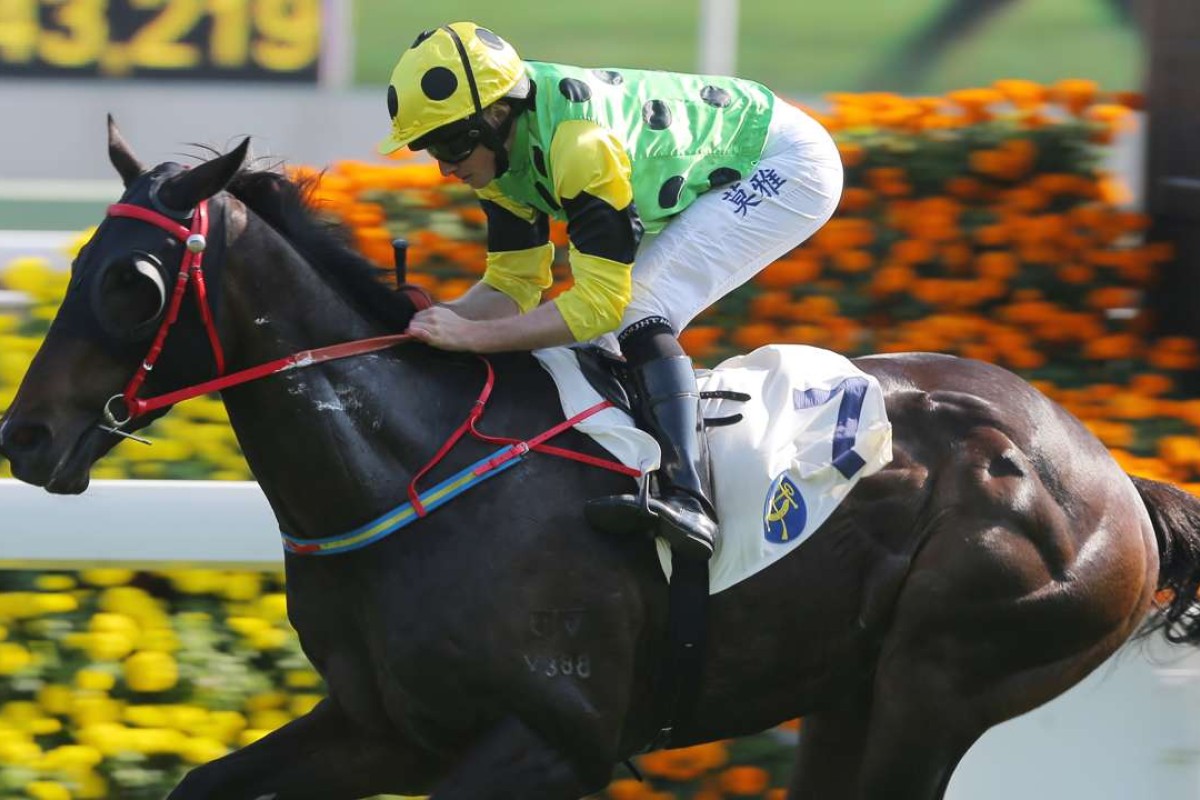 Ryan Moore guides Nothingilikemore to victory at Sha Tin on Sunday. Photos: Kenneth Chan