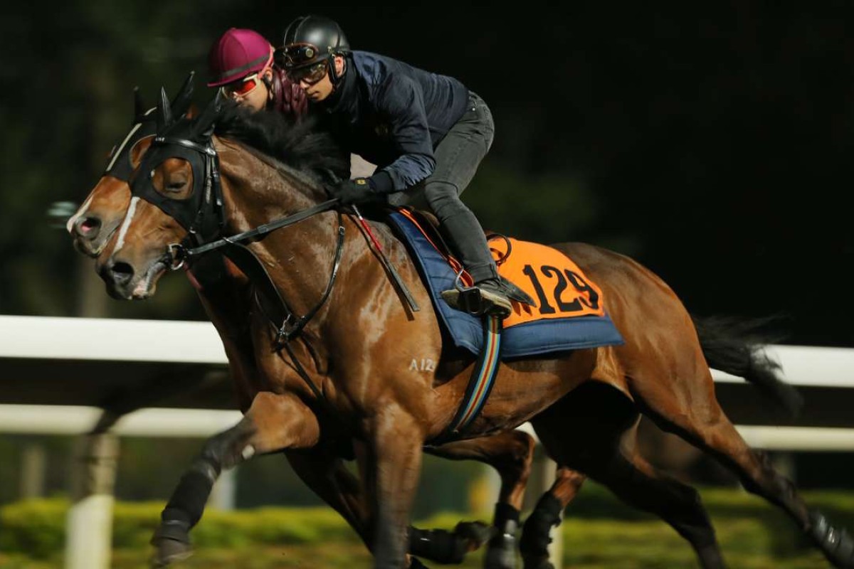 John Moore says his French import Helene Charisma is adapting quickly at Sha Tin. Photos: Kenneth Chan