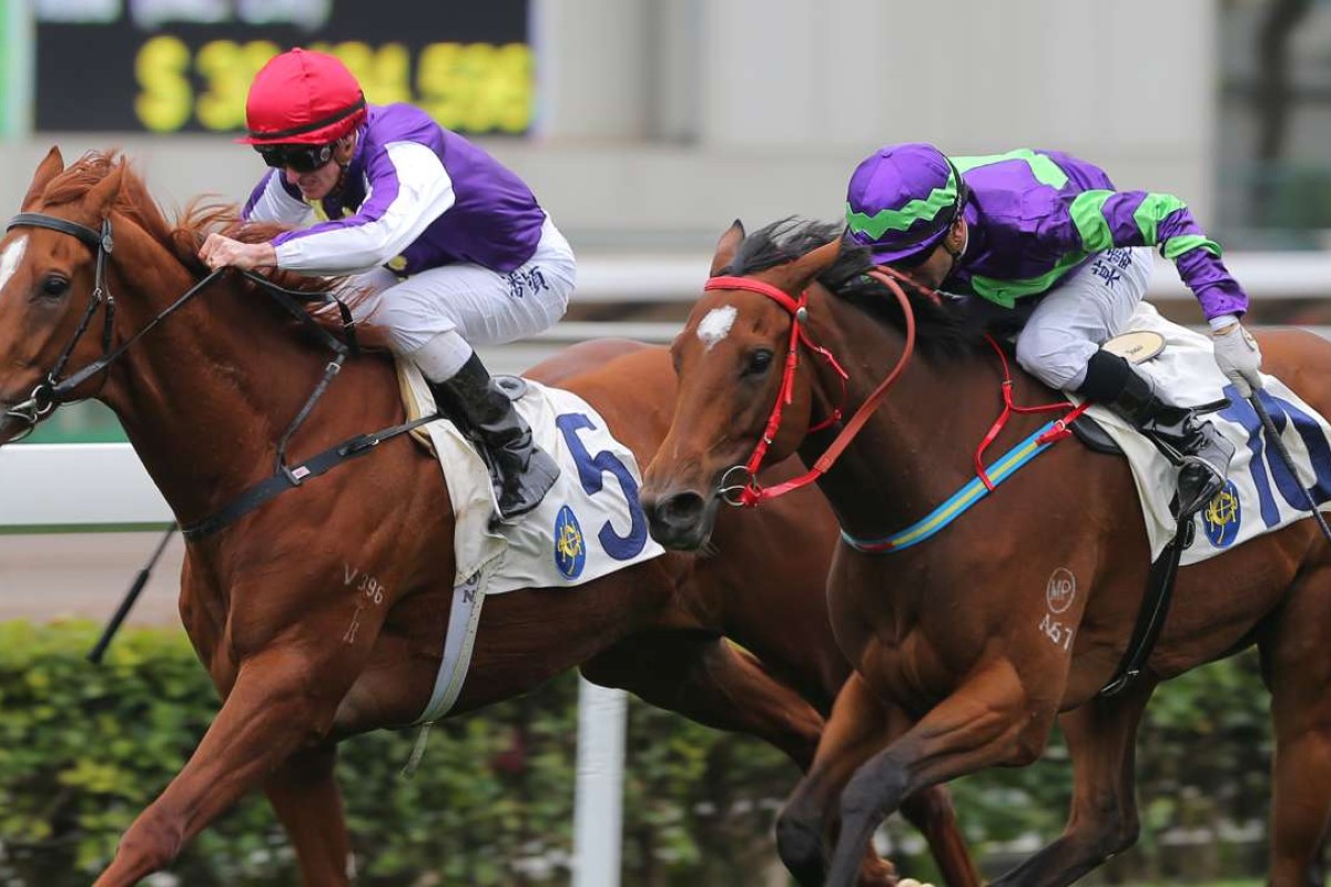 Merrygowin (left) edges out Vital Spring at Sha Tin on Sunday. Photos: Kenneth Chan