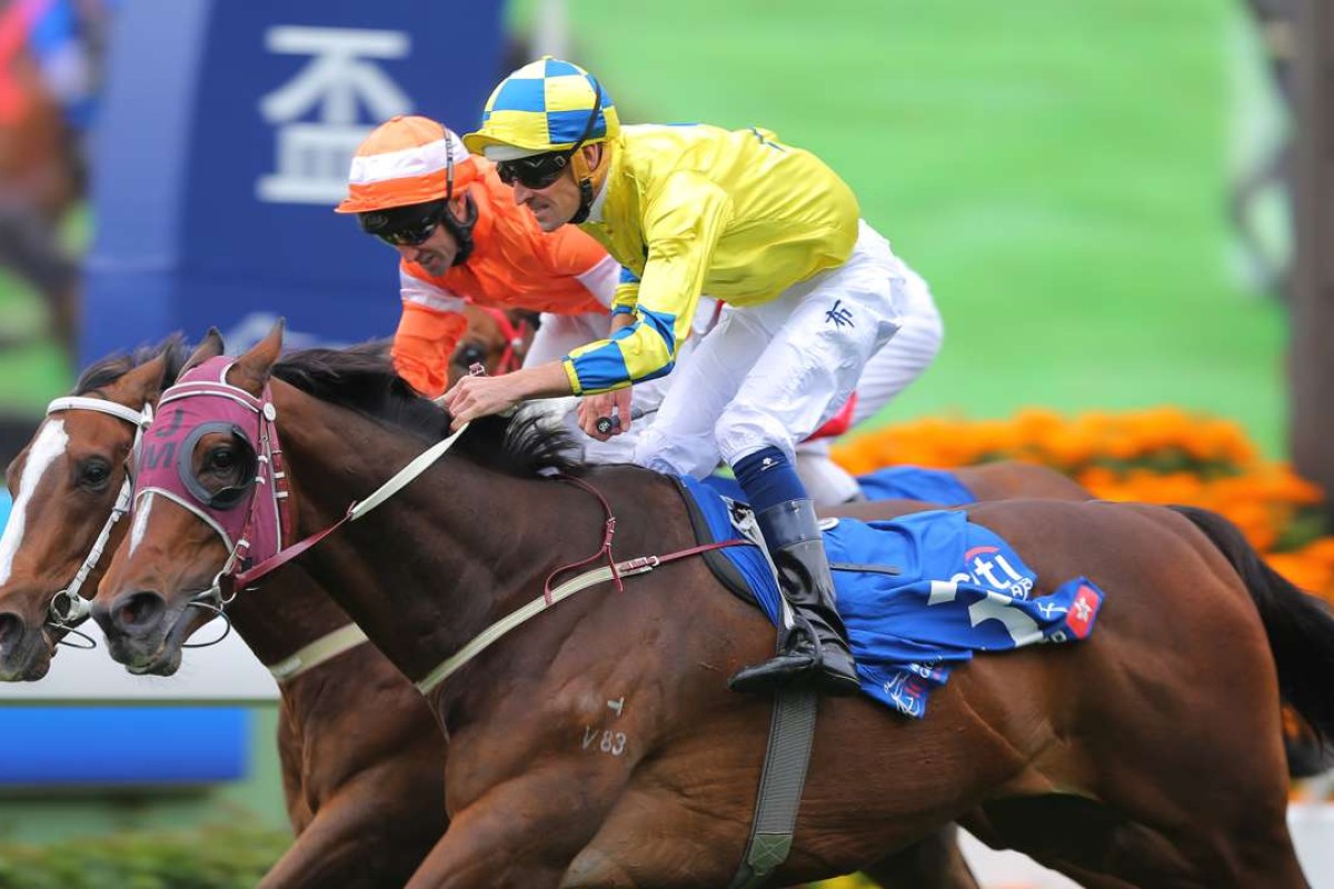 Hugh Bowman guides Werther to victory in the Group One Citi Hong Kong Gold Cup at Sha Tin on Sunday. Photos: Kenneth Chan