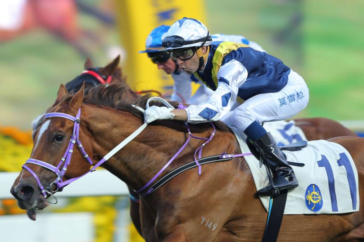 Joao Moreira guides Redkirk Warrior to victory at Sha Tin in February 2015. Photos: Kenneth Chan
