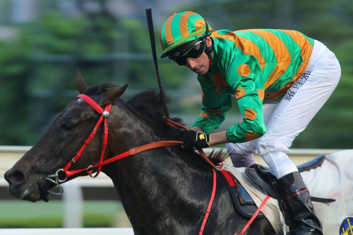 Nash Rawiller guides Circuit Land to victory at Sha Tin in September. Photos: Kenneth Chan