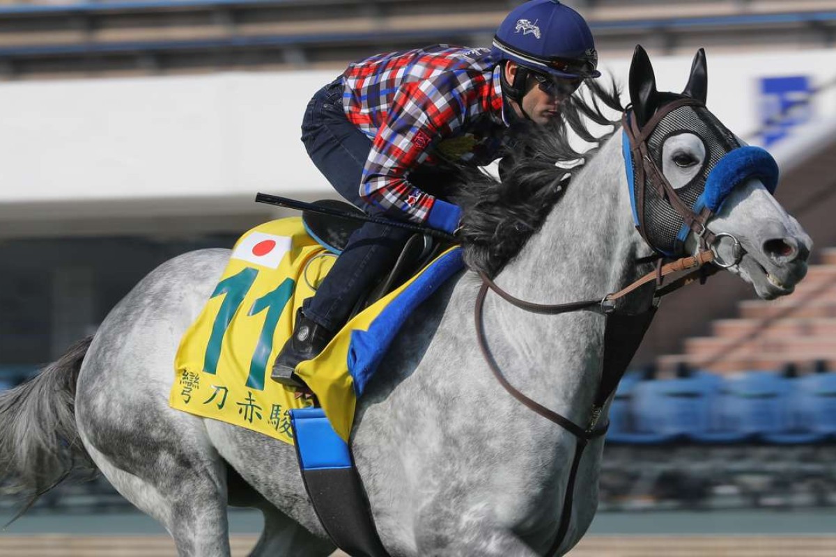 Mirco Demuro works out Red Falx at Sha Tin in December. Photos: Kenneth Chan