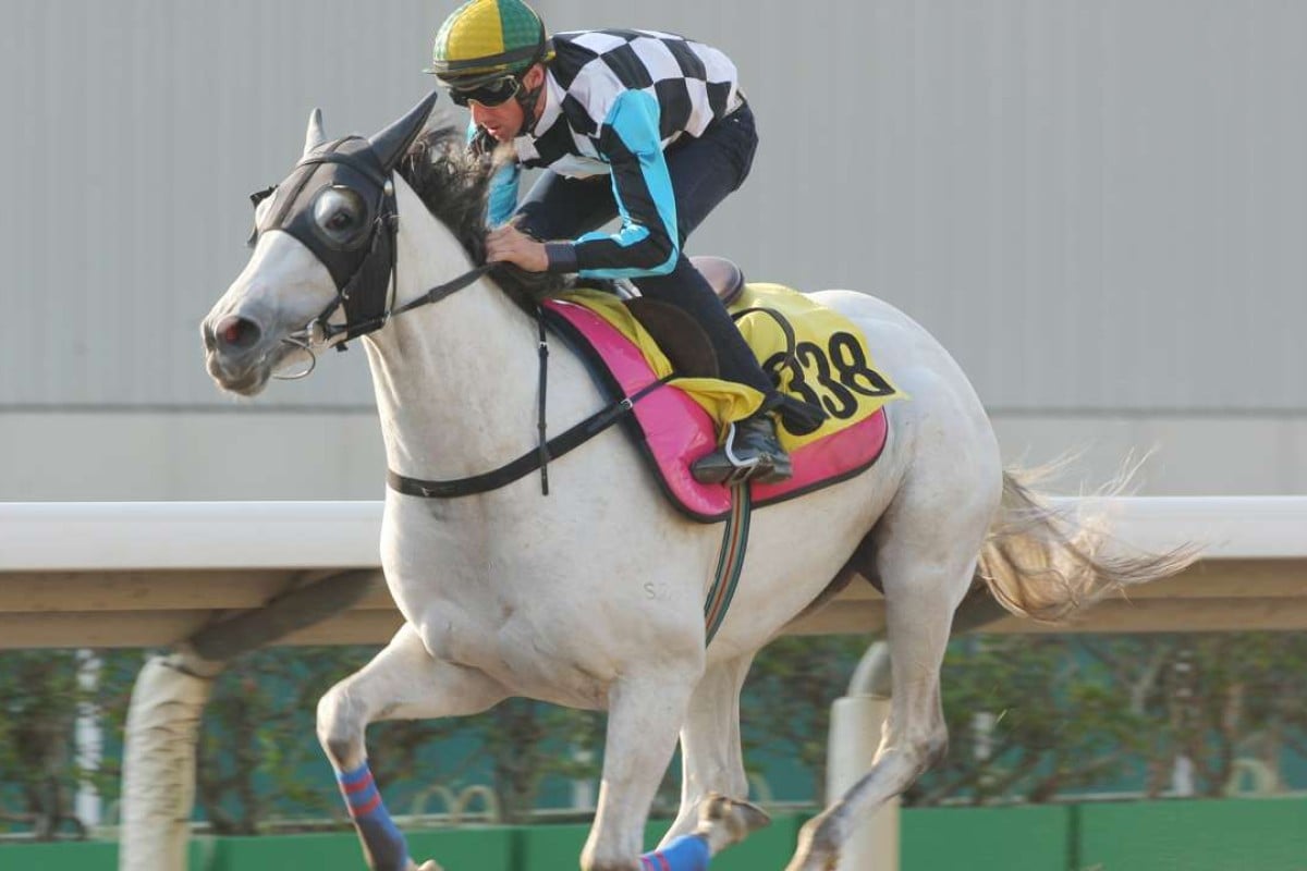 Storm Kid appears to be doing everything right in this trial but is probably actually moving at walking pace. PHOTOS: Michael Cox.