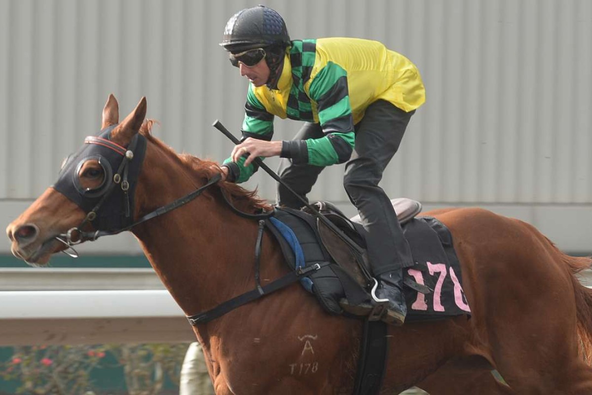 Nash Rawiller rides Fine With Me in a barrier trial at Sha Tin in February. Photos: Kenneth Chan.