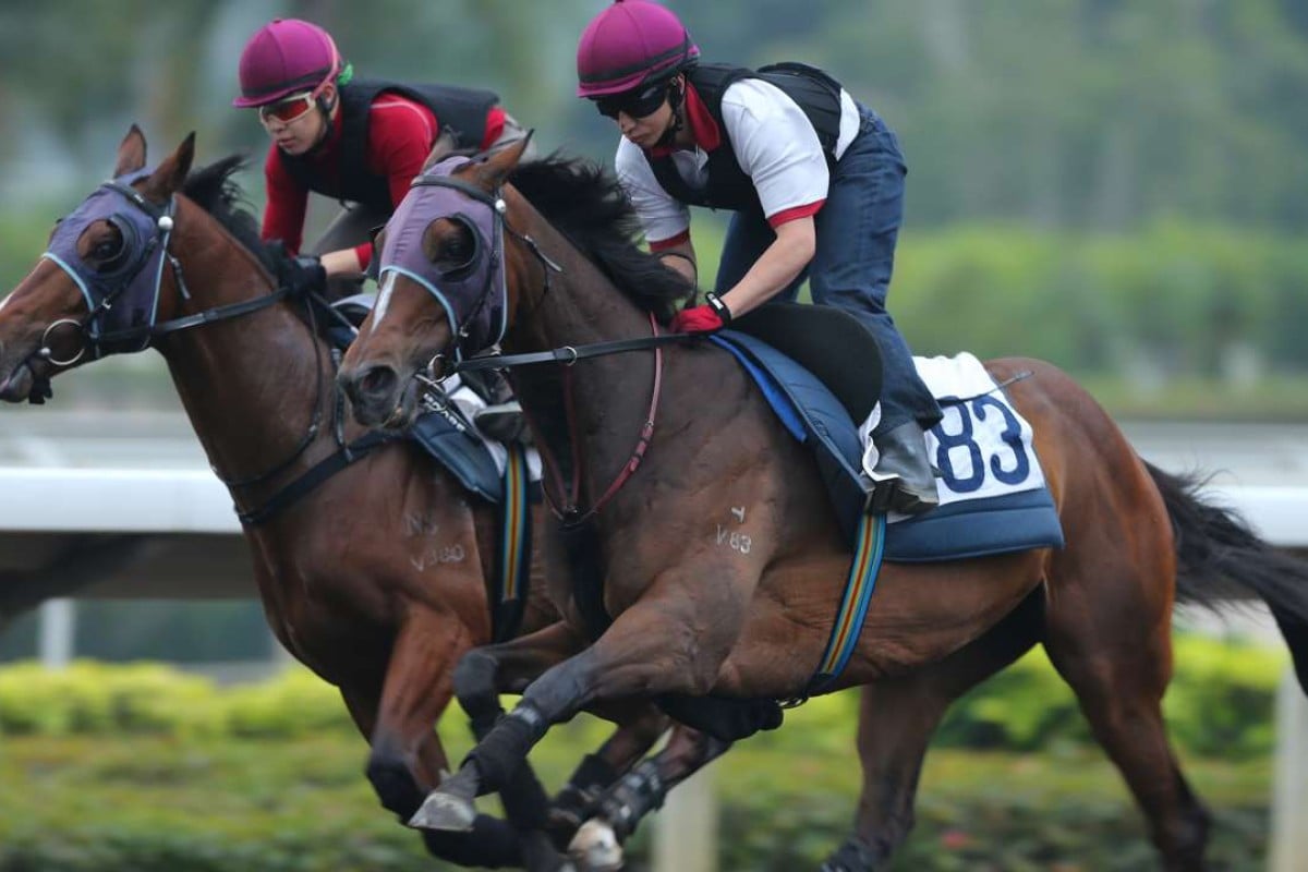 Werther (right), galloping on the all-weather track at Sha Tin, will not be helped by the soft conditions. Photos: Kenneth Chan