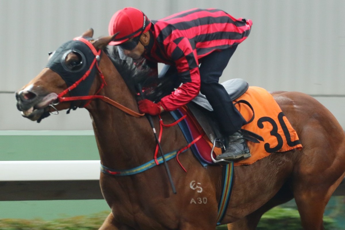 Karis Teetan partners Infinity Endeavour in a trial at Sha Tin. Photos: Kenneth Chan