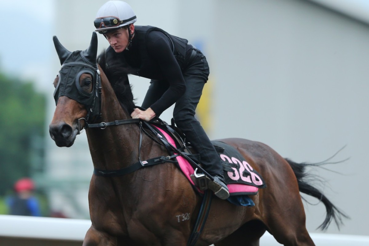 Chad Schofield rides Polymer Luck on Monday morning. Photos: Kenneth Chan