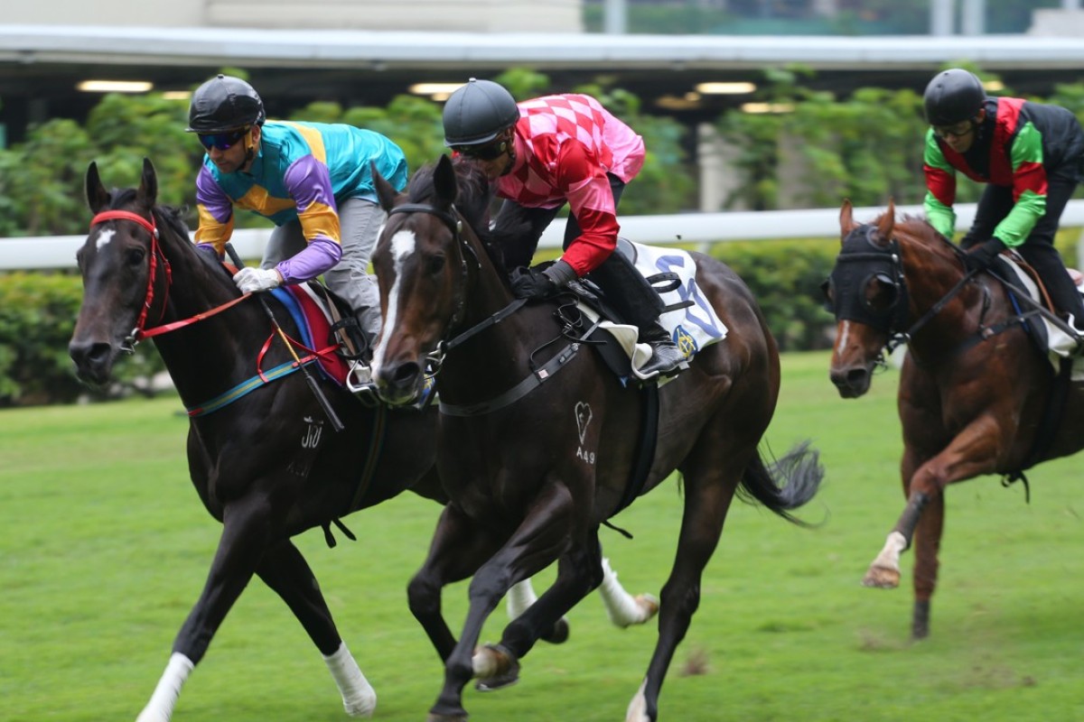 Planet Star (middle) finishes ahead of subsequent winner Zero Hedge in a 1,000m trial at Happy Valley on May 19. Photos: Kenneth Chan.