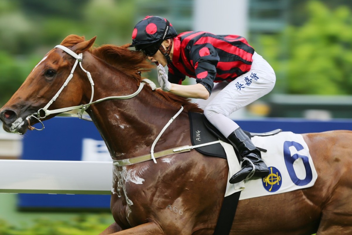 Alvin Ng celebrates as Time Warp runs away with the Class One Sha Tin Mile Trophy. Photos: Kenneth Chan