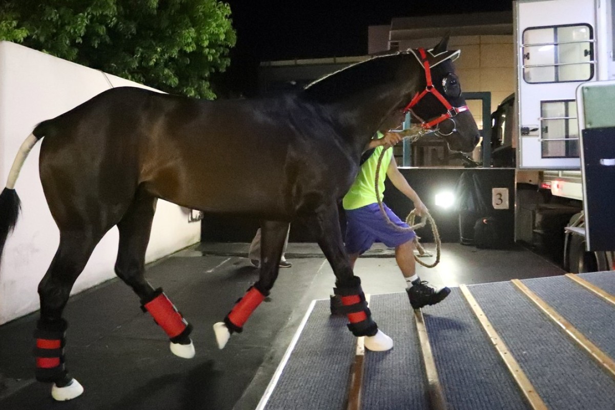 Circuit Land leaves Sha Tin Racecourse in the early hours of Tuesday morning. Photo: HKJC