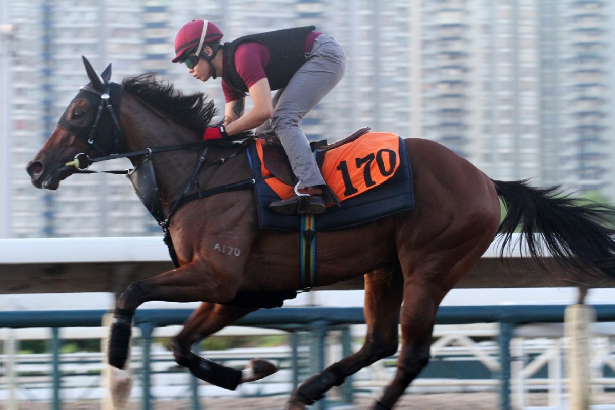 MAGIC LEGEND galloping on the all weather track at Sha Tin on 08Sep17.