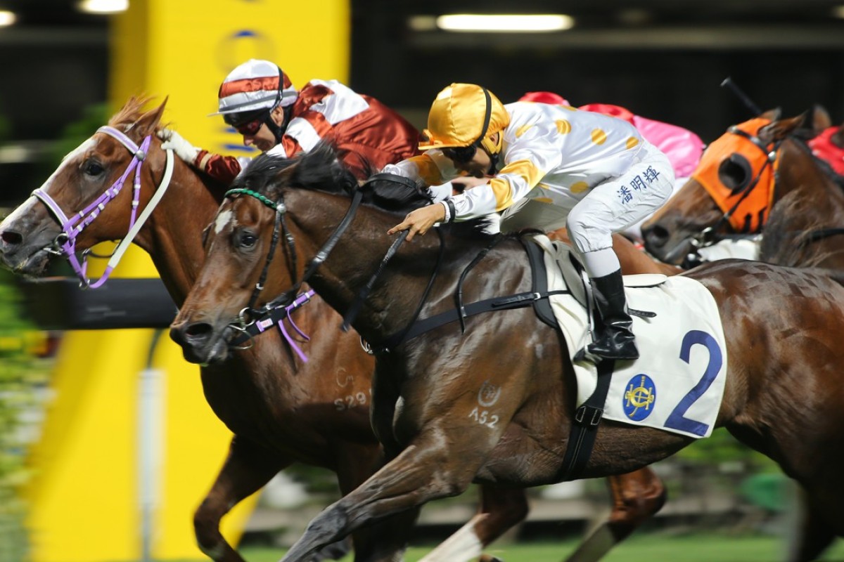 Sight Seeing (left) storms late but just misses catching Good Companion at Happy Valley on Wednesday night.