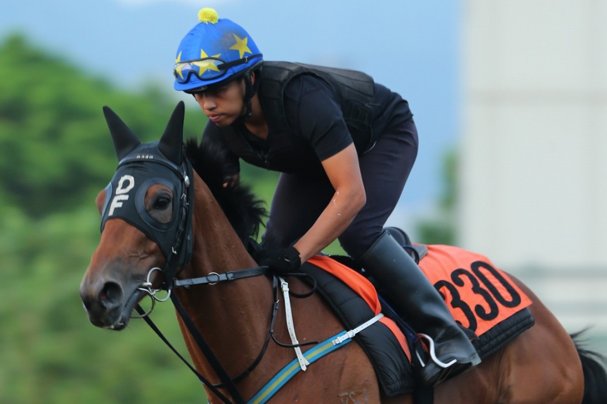 My Honey gallops in trackwork. Photo: Kenneth Chan