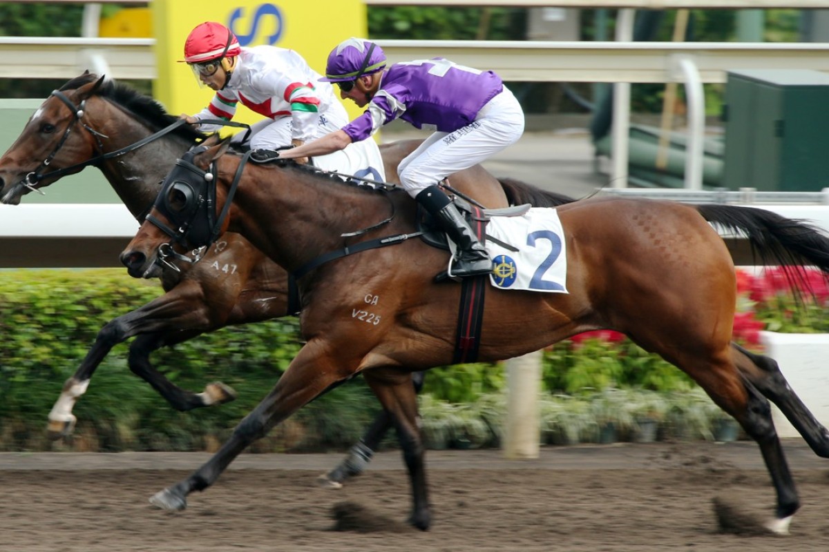 Strathclyde (right) edges out Beekely on the all-weather track on Saturday. Photos: Kenneth Chan