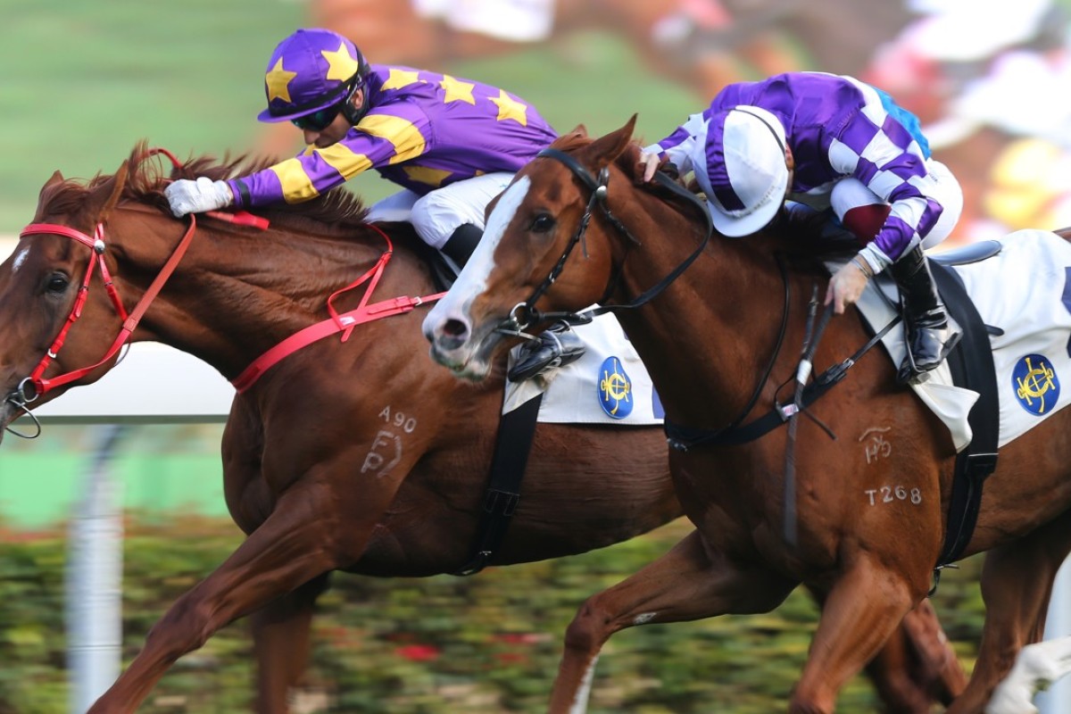 Western Express (left) holds off New Asia Sunrise to salute at Sha Tin in April. The two clash again on Saturday. Photos: Kenneth Chan