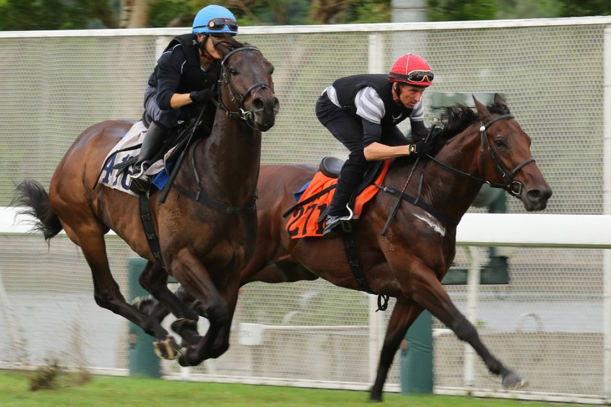 Strathspey (right) works with Sichuan Boss in October. Photo: Kenneth Chan