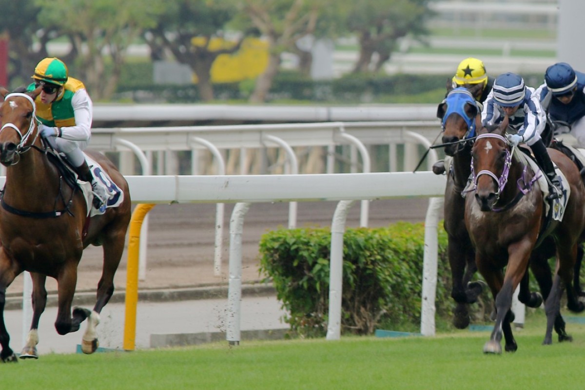 Sparkling Dragon wins on debut on November 11. Photos: Kenneth Chan.