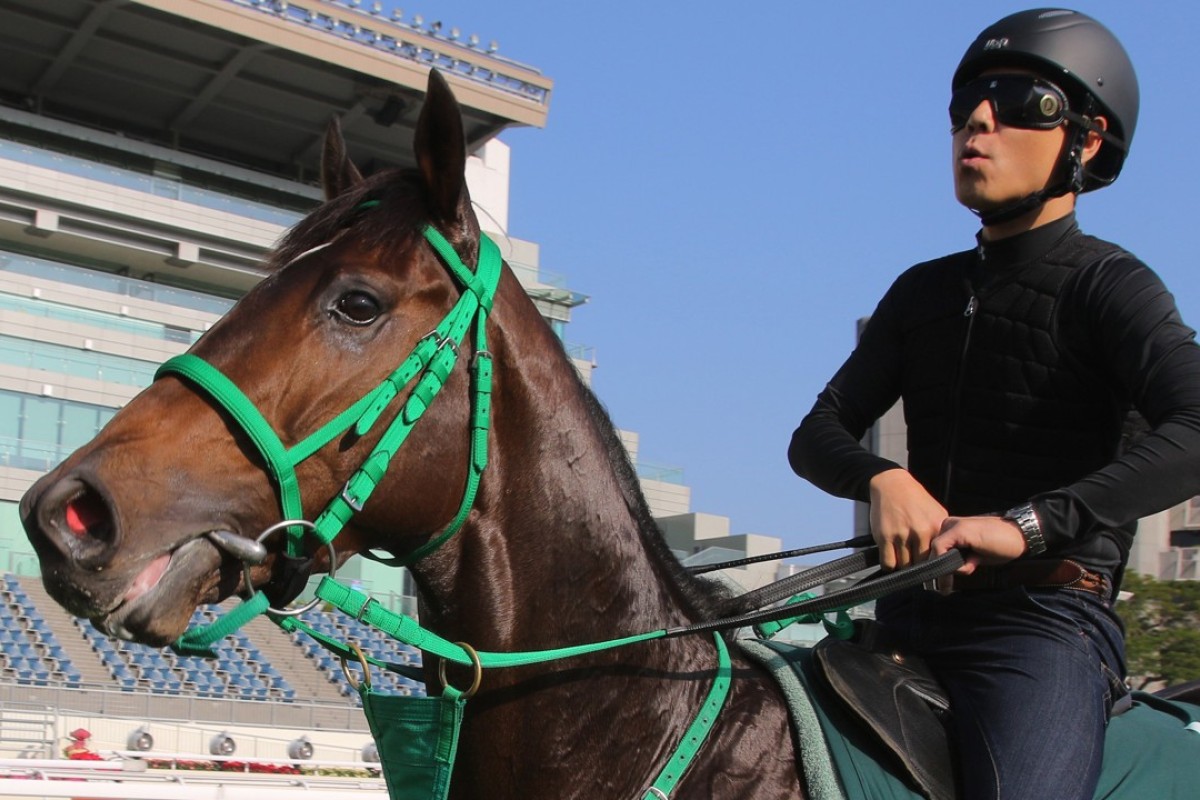 Hong Kong Vase runner Kiseki works on his own on the turf at Sha Tin. Photo: Kenneth Chan