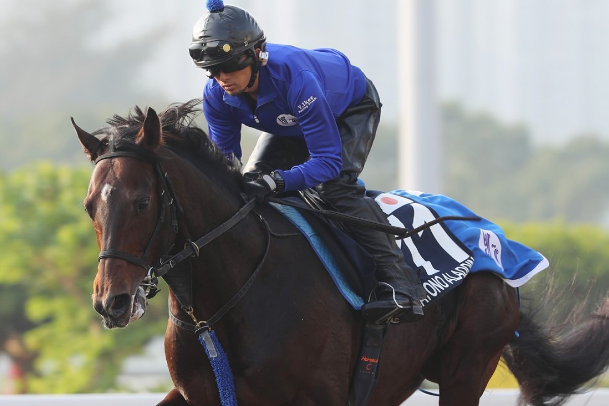 Satono Aladdin gallops on the all-weather track on Wednesday morning. Photos: Kenneth Chan