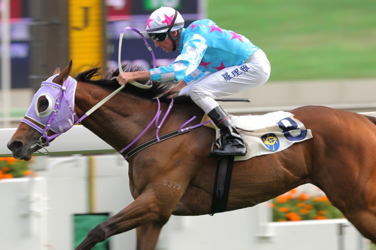 Nash Rawiller guides Midnite Promise to his only career victory in January 2016. Photo: Kenneth Chan