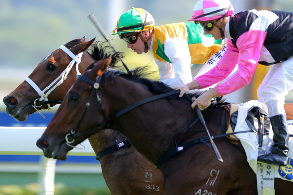 Sparkling Dragon (left) beats Win Beauty Win. Photos: Kenneth Chan