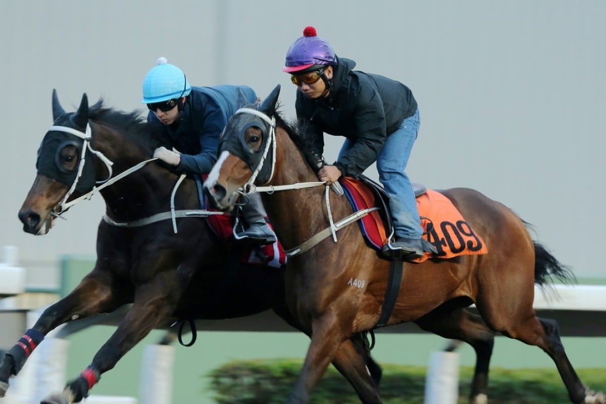 Doctor Geoff (outside) works with Dragon Lips on Thursday at Sha Tin. Photos: Kenneth Chan.