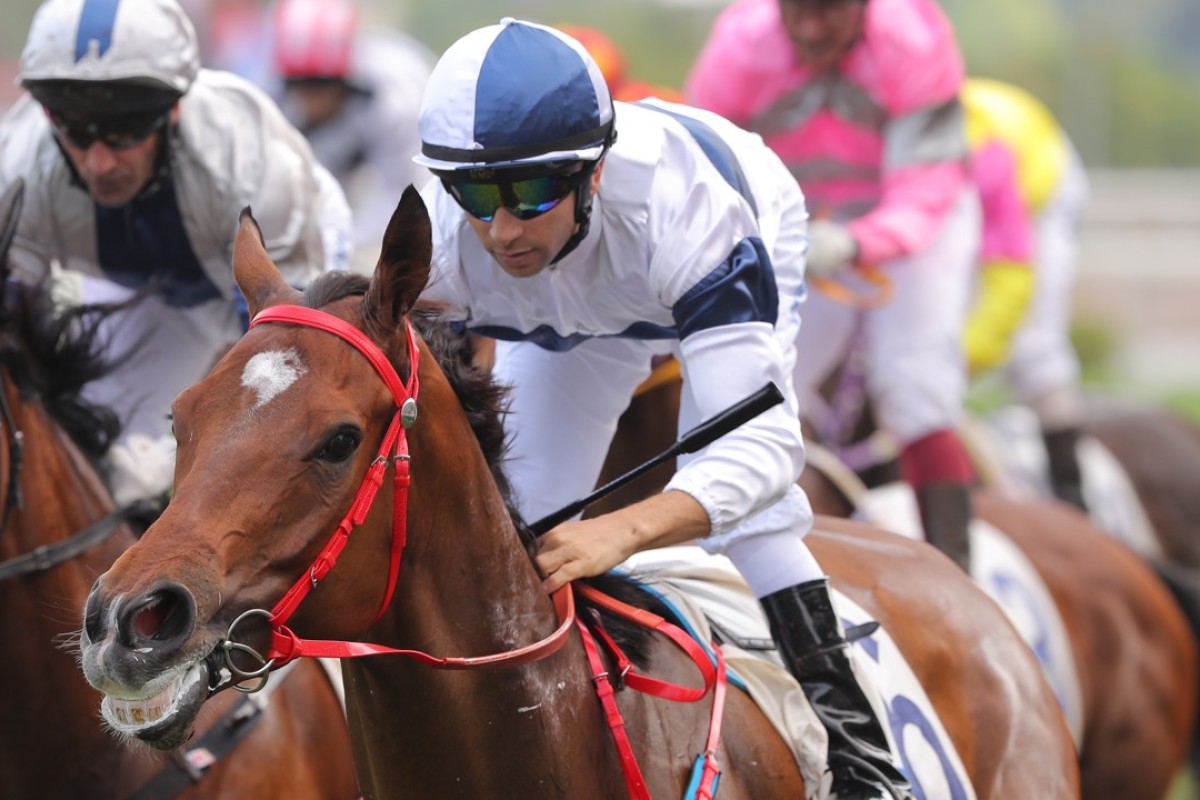 Joao Moreira guides House Of Fun to victory down the Sha Tin straight in May. Photos: Kenneth Chan