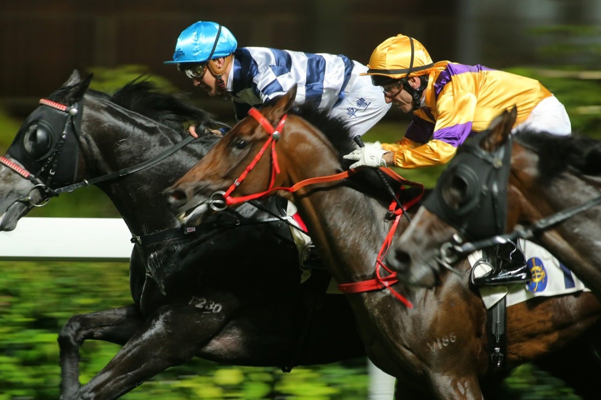 Chad Schofield drives Packing Dragon to victory at Happy Valley in May. Photo: Kenneth Chan