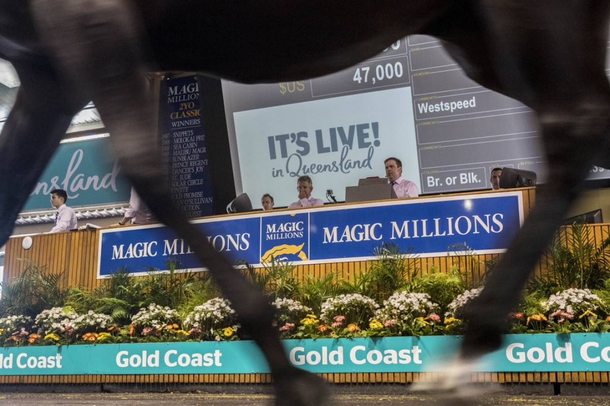 The 2018 Magic Millions sale on the Gold Coast. Photo: EPA-EFE/GLENN HUNT