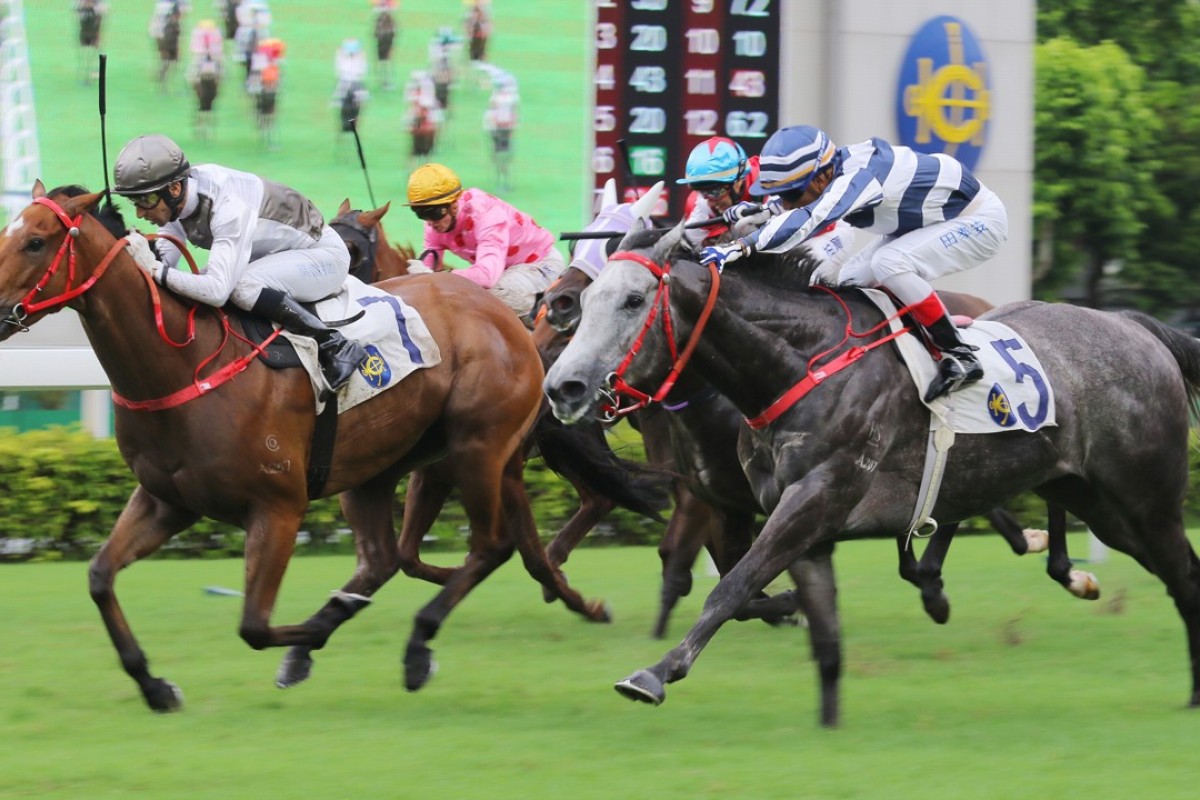 Ivictory beats Fifty Fifty home on the final day of last season. Photos: Kenneth Chan.