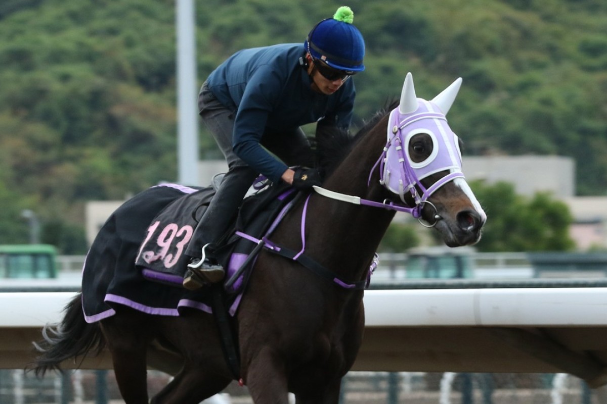 Derek Leung rides Classic Emperor left-handed at trackwork in January. Photos: Kenneth Chan