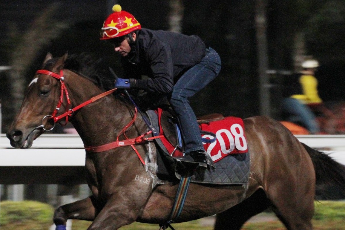 Douglas Whyte gallops Good Omen on February 19. Photo: Kenneth Chan
