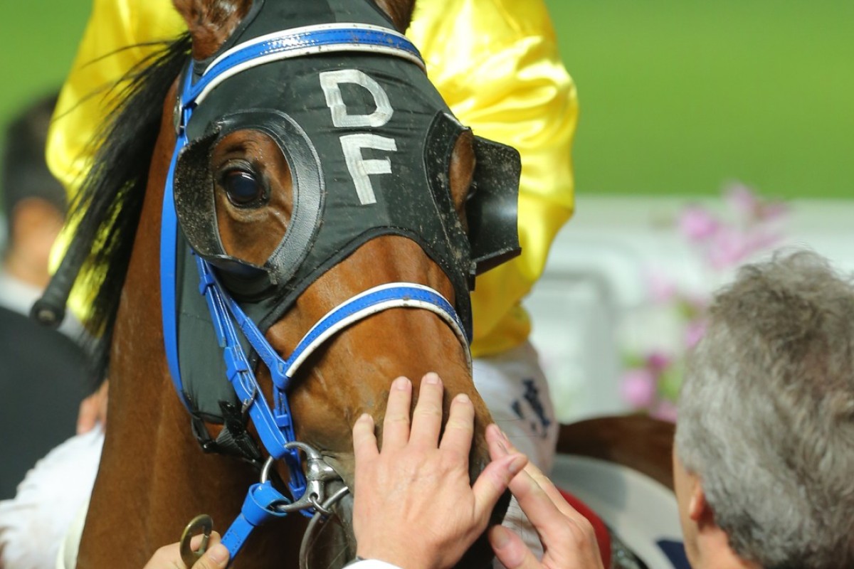 David Ferraris gives Chater Thunder a pat after his win last start. Photos: Kenneth Chan.