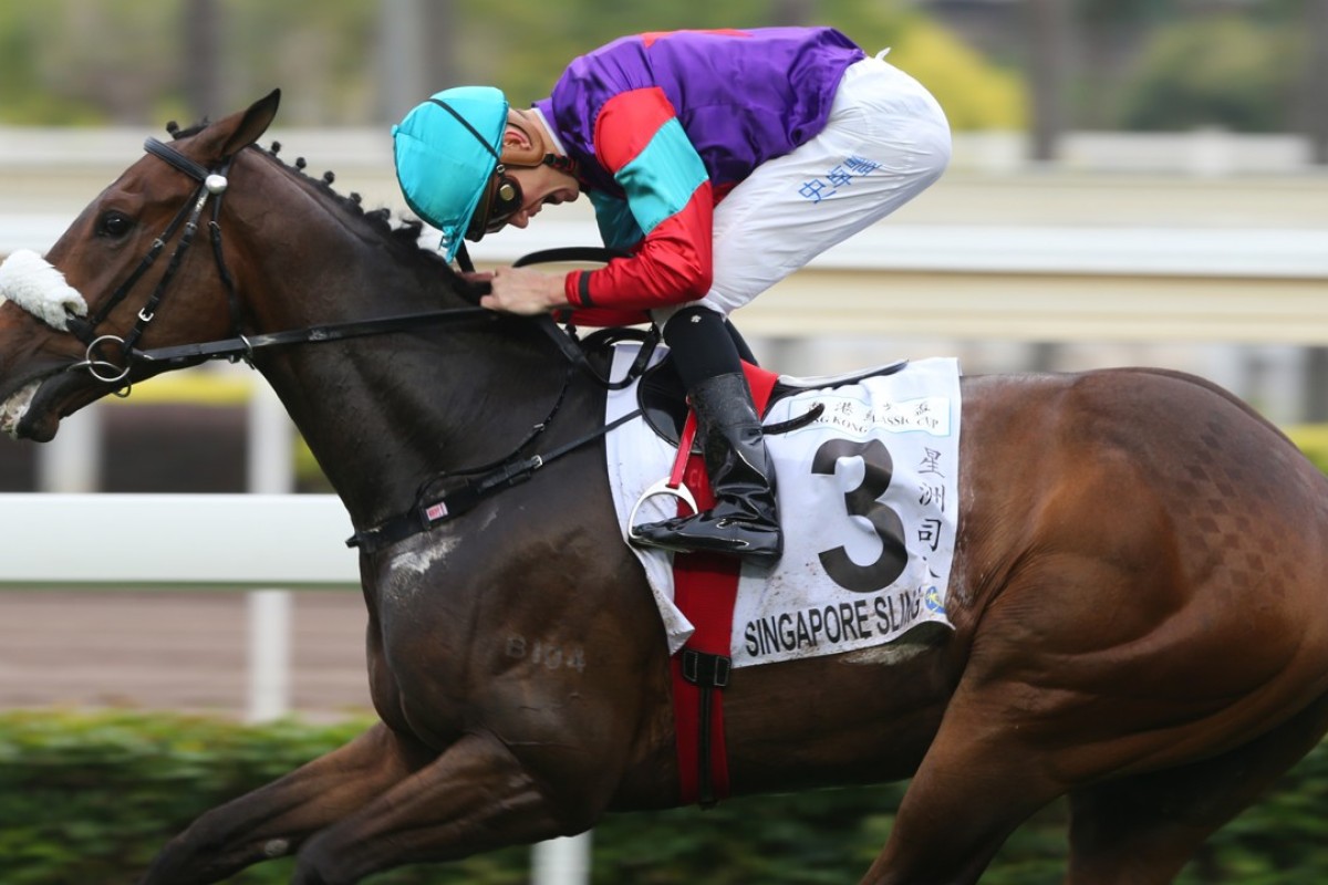 Chad Schofield screams in delight after winning the Classic Cup with Singapore Sling. Photos: Kenneth Chan